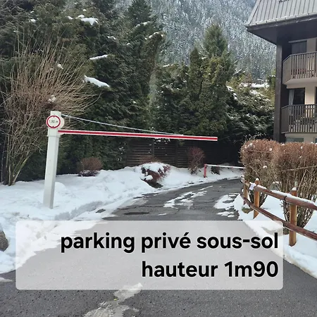 Апартаменты Chez L'alpiniste - Centre Avec Parking Prive